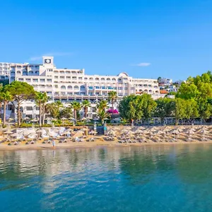Azka Bodrum